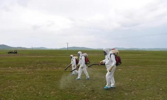蝗災(zāi)來(lái)襲，農(nóng)藥獸藥防偽溯源面臨機(jī)遇和挑戰(zhàn)