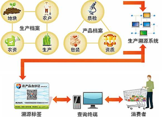 水稻種植可追溯系統(tǒng)有哪些環(huán)節(jié)及優(yōu)勢。